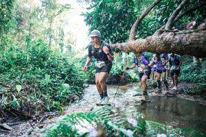 BIB: 
                            <button type="button" onclick="openModal(25444296)" class="btn btn-primary btn-sm float-right btn-popup" data-toggle="modal" data-target=".modal-high-quality">
                        <i class="fas fa-shopping-cart"></i> Add to Cart
                    </button>
                                            <button type="button" onclick="isThisMe(25444296, true)" class="btn btn-success btn-sm float-right btn-popup btn-isme hidden" data-toggle="tooltip" data-placement="bottom" title="นี่คือรูปของคุณใช่ไหม คลิกที่นี่เพื่อเอาเข้าอัลบั้ม">
                        <i class="fas fa-plus"></i> Add to album
                    </button>
                    <button type="button" onclick="isThisMe(25444296, false)" class="btn btn-warning btn-sm float-right btn-popup btn-isnotme hidden">
                        <i class="fas fa-ban"></i> Remove from album
                    </button>